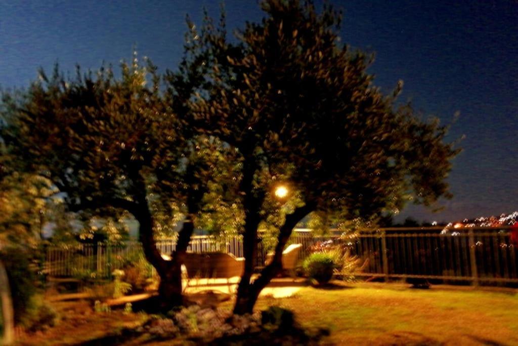 Willa Casa Vista Mare - Superb Garden And Parking Included Imperia Zewnętrze zdjęcie