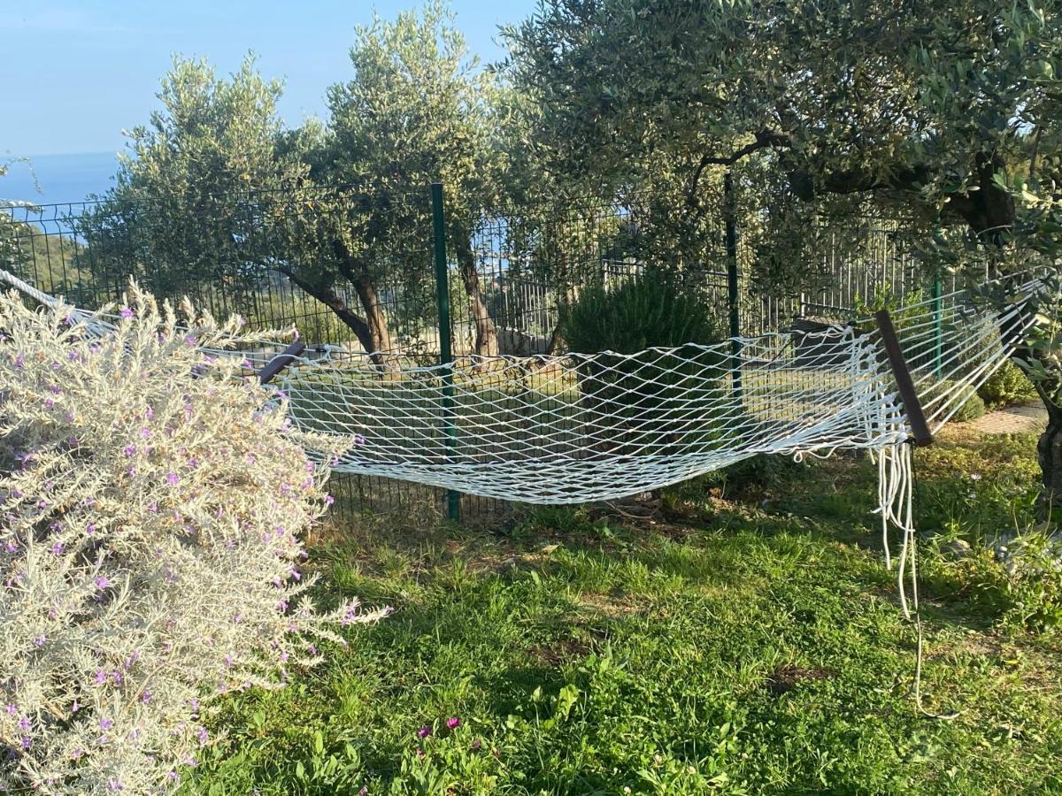 Willa Casa Vista Mare - Superb Garden And Parking Included Imperia Zewnętrze zdjęcie