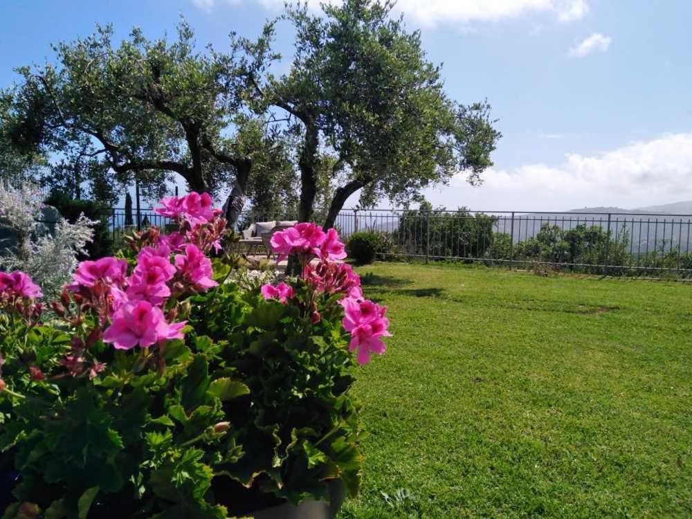 Willa Casa Vista Mare - Superb Garden And Parking Included Imperia Zewnętrze zdjęcie