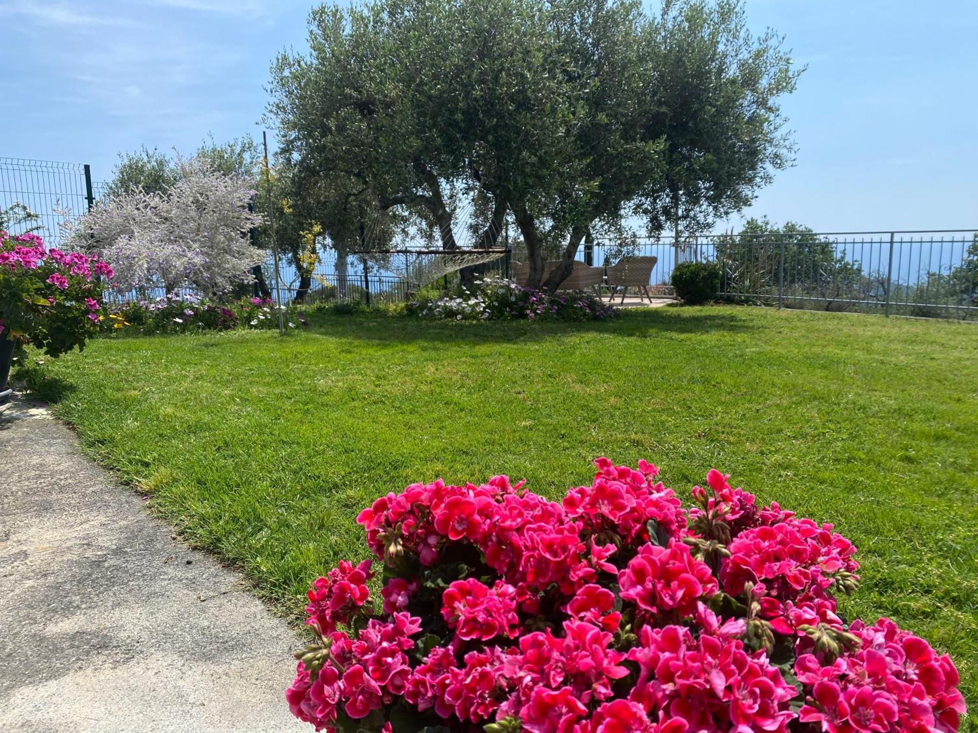 Willa Casa Vista Mare - Superb Garden And Parking Included Imperia Zewnętrze zdjęcie